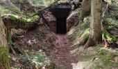 Trail Walking Grandfontaine - les deux donons - Photo 19