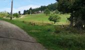 Randonnée Marche Ribeauvillé - boucle la grande verrerie-roche des 3 tables-roche des reptiles-roche des géants-la grande verrerie  - Photo 15