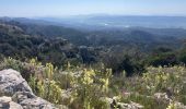 Tocht Trail Cheval-Blanc - Font de l’Orme-Croix de Fer-Menerbes-Pic Faiendre(17K 950D+) - Photo 3