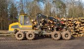 Percorso A piedi Hofheim in Unterfranken - Auf Jägerpfaden zur Schwedenschanze - Photo 3