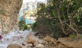 Trail Walking Marseille - Les calanques de Cassis . Sugiton Morgiou.Sormiou - Photo 13