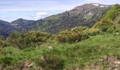 Tocht Stappen Laveissière - La veissiere Puy de seycheuse - Photo 7