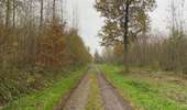 Trail Walking Silly - Gondregnies - bois de la Provision - Fouleng - Photo 15