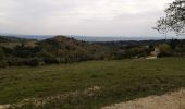 Excursión Senderismo Pierrevert - St Martin les eaux 25.04.2021 - Photo 1