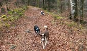 Trail Walking Le Tholy - Les 2 cascades du Tendon (grand tour) - Photo 20