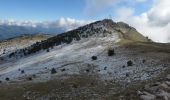 Tour Wandern Coursegoules - Sommet du Cheiron depuis Coursegoules - Photo 1