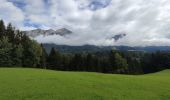 Randonnée Marche Gemeinde Scheffau am Wilden Kaiser - Hintersteinersee - Photo 16