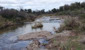 Percorso Marcia Le Cannet-des-Maures - la plaine des maures - Photo 2