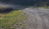 Trail Walking Sigoyer - Boucle Croix de la Biousse - Photo 7
