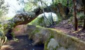Randonnée Marche Solliès-Toucas - Les Morières - les bidoufles - Valbelle - la Garoute - la Baume des Lumes - La grotte des lumes - Photo 14