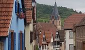 Tour Wandern Rosheim - Le vignoble de Rosheim - Photo 9