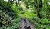 Tour Reiten Walcourt - Mertenne-bois de Pry - Photo 2