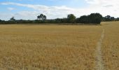 Excursión A pie North Hertfordshire - Weston Golden Jubilee Walk - Photo 2