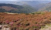 Tocht Stappen Pont de Montvert - Sud Mont Lozère - GR_70_AI_09_Pont-Monvert_Florac-3-Riveres_20140923 - Photo 4