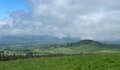 Excursión Senderismo Murat-le-Quaire - Puy Loup- Banne d’Ordanche-Gacherie - Photo 5