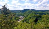 Tocht Stappen Durbuy - Balade à Bomal sur Ourthe - Photo 2