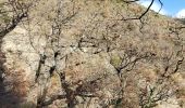 Trail Walking Entrages - Digne cousson  courtiers 937m 15kms  - Photo 3