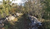 Trail Walking Loubressac - Laguizayrie - Photo 8