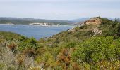 Tocht Stappen Bonifacio - Punta di U Capicciu (tour genoise - Photo 4