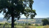 Trail Walking Hotton - Ménil Favay - Photo 10