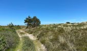 Trail On foot Terschelling - Doodemanskisten en Seinpaalduin - Photo 1