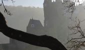 Trail Walking Wierschem - château Eltz - Photo 4