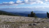 Tour Wandern La Cadière-d'Azur - le gros cerveau - Photo 1