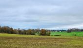 Percorso Marcia Blandy - Boucle 23 km Blandy - St Merry - Bombon - Champeaux - Photo 2