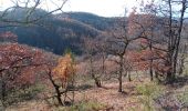 Excursión Senderismo Maxou - Bois des Carrières_la Dalhouse_Lirve_Revel 6,7 - Photo 1