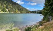 Tocht Elektrische fiets Wildenstein - La Bresse - Photo 2