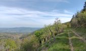 Tour Wandern Aurel - Le Pas de la Frache - Photo 5