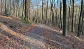 Tour Wandern Welkenrath - Welkenraedt - Eupen gare à gare 24 km - Photo 18