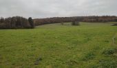 Tour Wandern Saint-Hubert - Awenne (Saint-Hubert)  - Photo 7