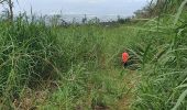 Tour Wandern Saint-Louis - Le tapage  piton cabris retour via bras patate - Photo 1