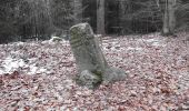 Percorso A piedi Bad Soden-Salmünster - Bad Soden-Salmünster Wanderweg 