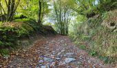 Trail Walking Houffalize - Engreux 151023 - Photo 7