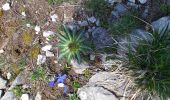 Randonnée Marche Pralognan-la-Vanoise - Pralognan petit Mont Mont-blanc  - Photo 13