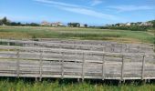 Trail Walking Hautot-sur-Mer - Hautot-sur-Mer - Photo 12