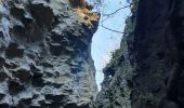 Trail Walking Chantemerle-lès-Grignan - Les Crevasses de Chantemerle - Photo 13