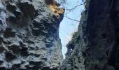 Tour Wandern Chantemerle-lès-Grignan - Les Crevasses de Chantemerle - Photo 13