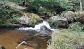 Tocht Stappen Saint-Alban-sur-Limagnole - la cascade du Franquet - Photo 1