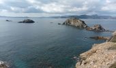 Tocht Stappen Hyères - Tour de la Presqu'île de Giens-05-04-23 - Photo 16