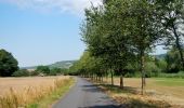 Percorso A piedi Dörzbach - Pfad der Stille (Dörzbach) - Photo 2