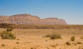 Randonnée A pied Conseil régional de Ramat Negev - ציר הנפט - Photo 3