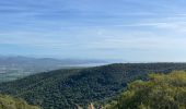 Tour Mountainbike Cogolin - Cogolin - Cavalaire - La Molle - Photo 1