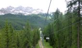 Tocht Te voet Cortina d'Ampezzo - Sentiero C.A.I. 206, Strada per Tre Croci - Lareto - Son Forca - Photo 1