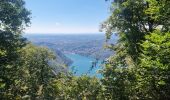 Tour Wandern Brunate - Boucle Brunate - Monte Piatto  - Brunate - Photo 13