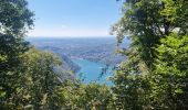 Trail Walking Brunate - Boucle Brunate - Monte Piatto  - Brunate - Photo 13