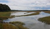 Randonnée Marche Tarquimpol - LINDRE BASSE - AUTOUR DES ETANGS DE DIEUZE - Photo 10