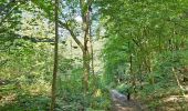 Tour Wandern Falkenburg an der Göhl - 🚂 Valkenburg à 🚂 Maastricht par Via Belgica  - Photo 8